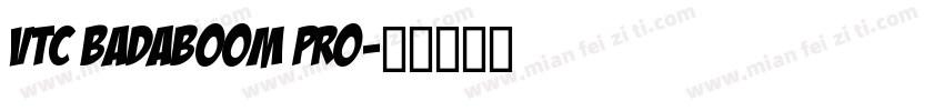 VTC Badaboom Pro字体转换